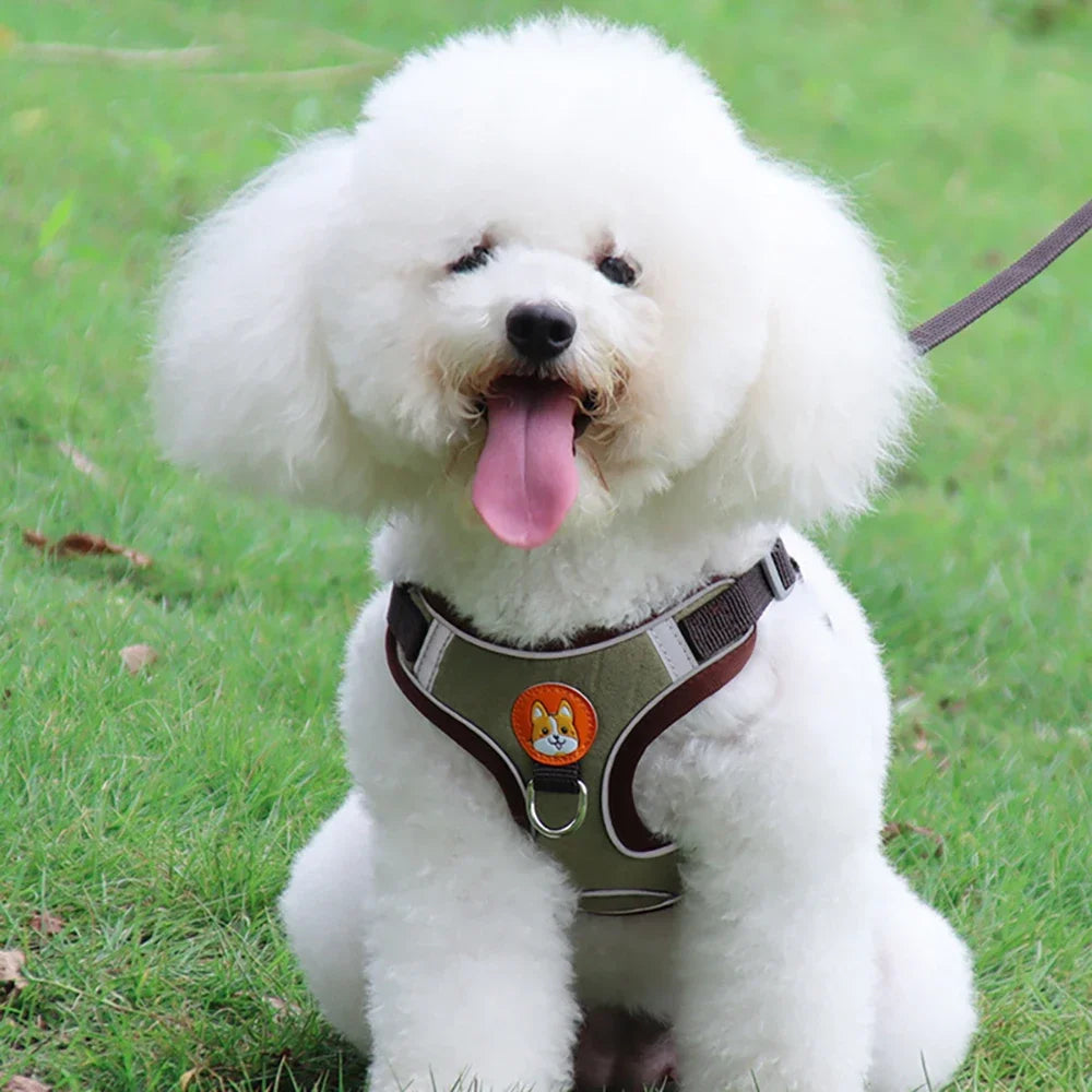 Dogs Adjustable Harness Leash Set for Small Medium Dogs Harness Vest Reflective Puppy Chest Strap Pet Walking Outdoor Supplies